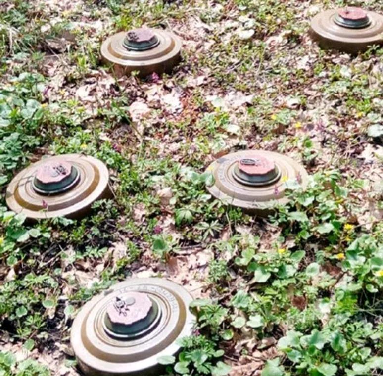 《费加罗报》报道，当地时间10日，芬兰国防部表示，自去年7月时，赫尔辛基宣布退出