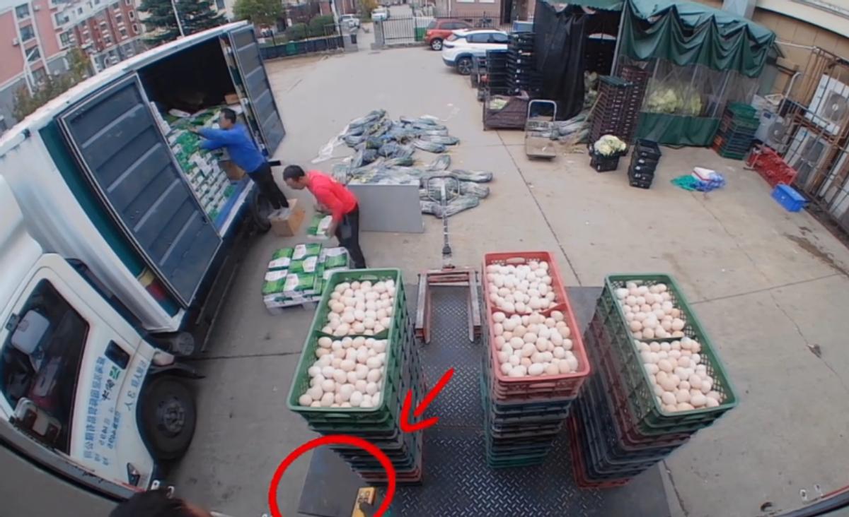 “活该她发财！”11月8日，山东威海，一男子第一天上班，搬运鸡蛋时按错了按钮，导