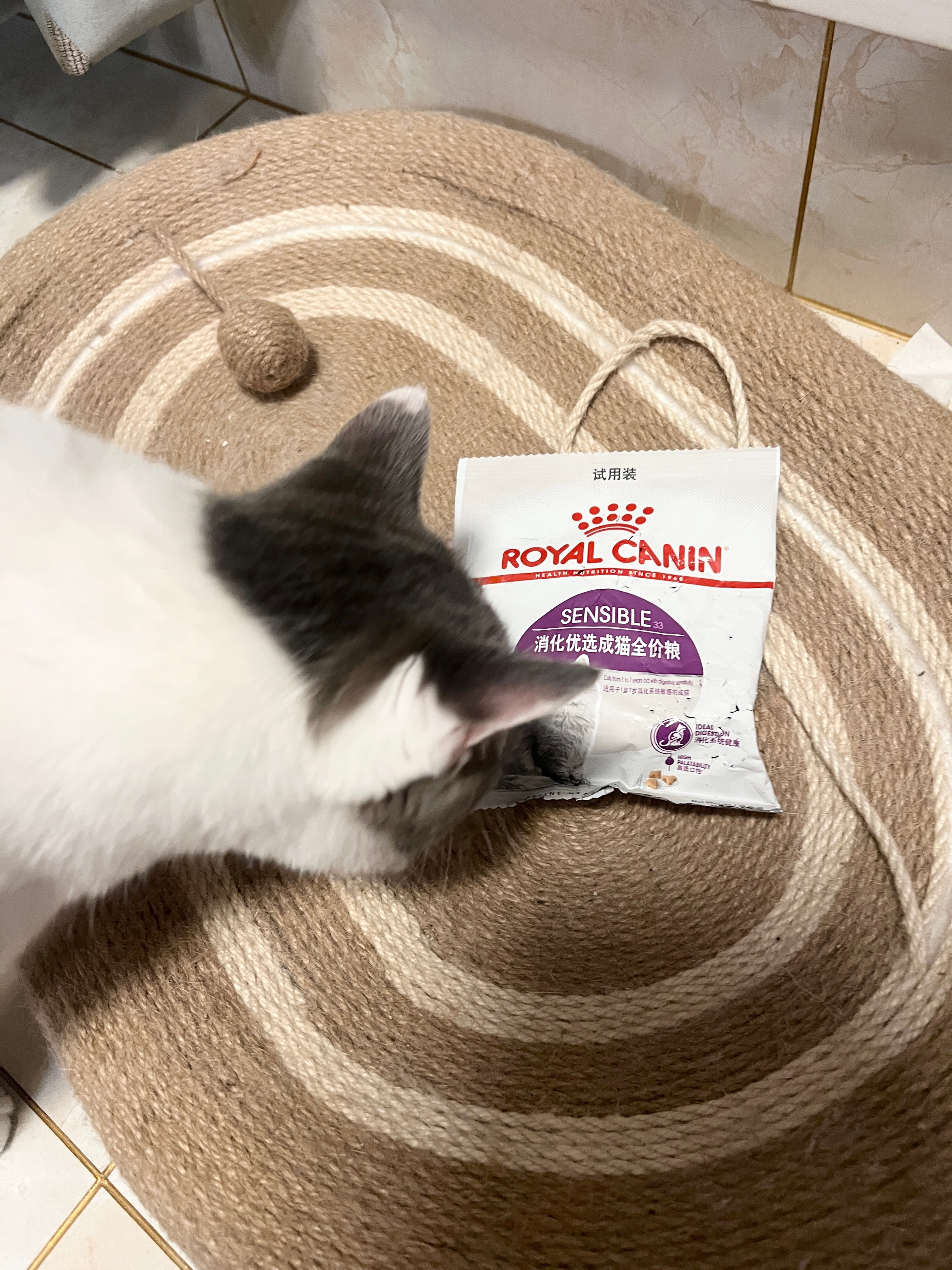 出门忘记加猫粮回家发现咪碗已空结果就看到某些猫抱着从零食架上偷的试用装猫粮
