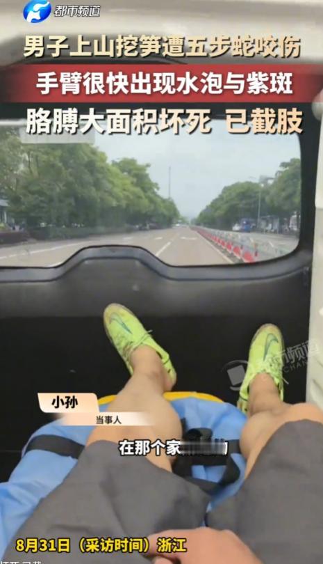 这事儿吧，听着都让人头皮发麻。浙江那边，有个男士姓孙，就平时喜欢上山挖点笋，自