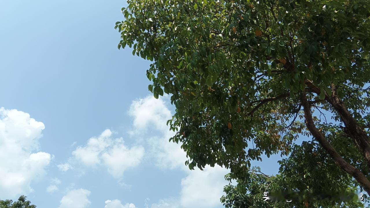 一个顾客问:同样一个中医，你去医院找他开药，和去他诊所找他开的药，效果不太一样。