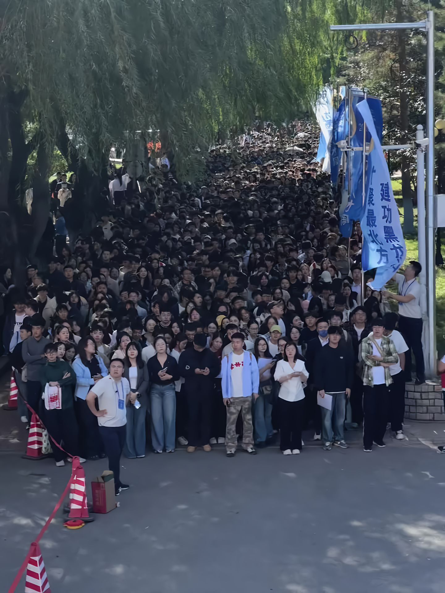 黑龙江人才周现场，就业形势已经这样了吗​​​