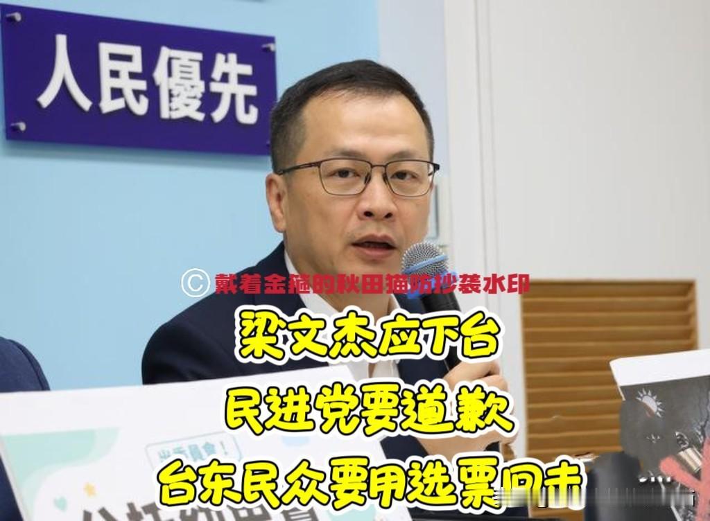 陆委会遭最强炮轰！罗智强火力全开：梁文杰应当下台、民进党应当道歉、台东老百姓应