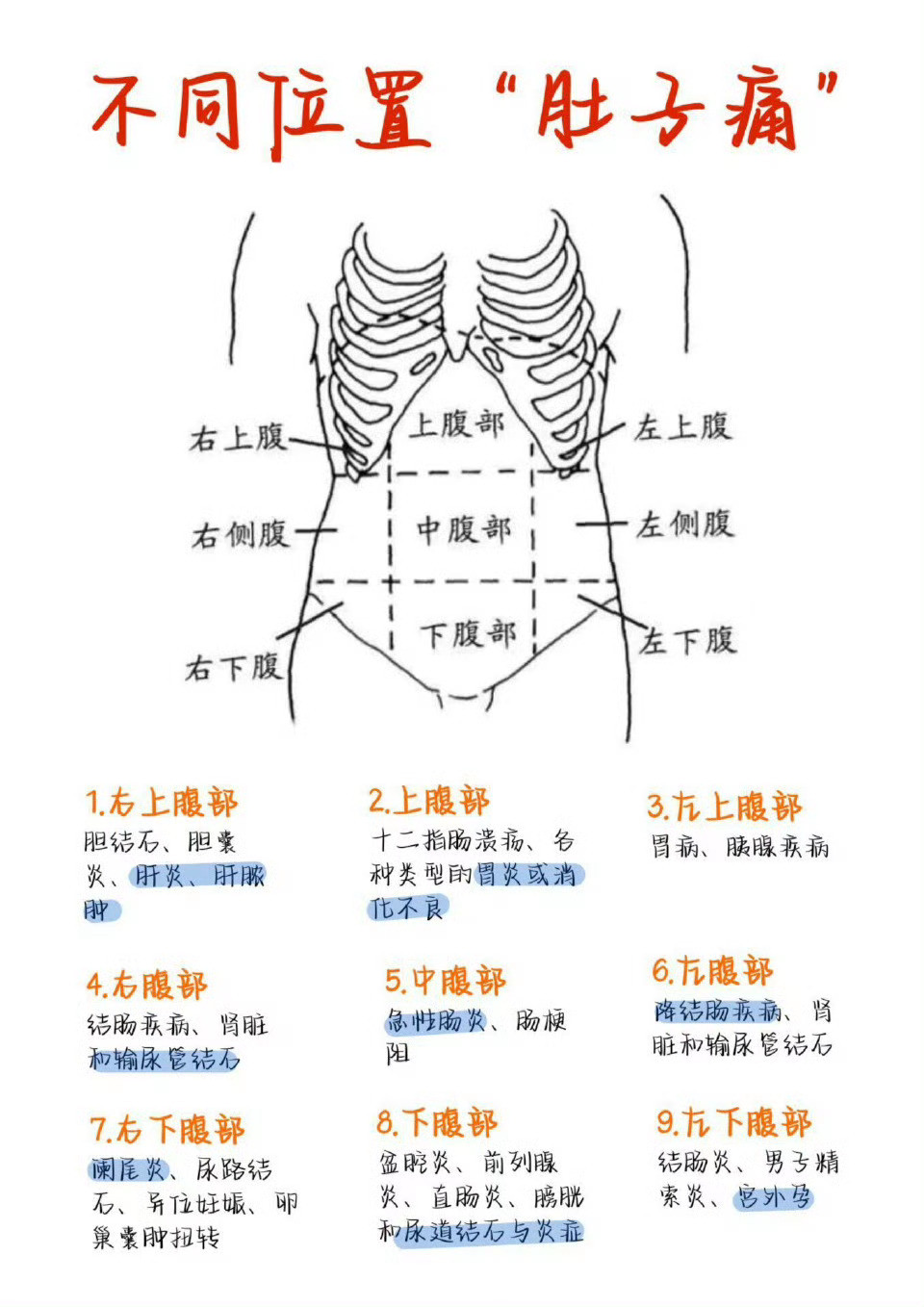 肚子疼痛的位置代表什么​​​​