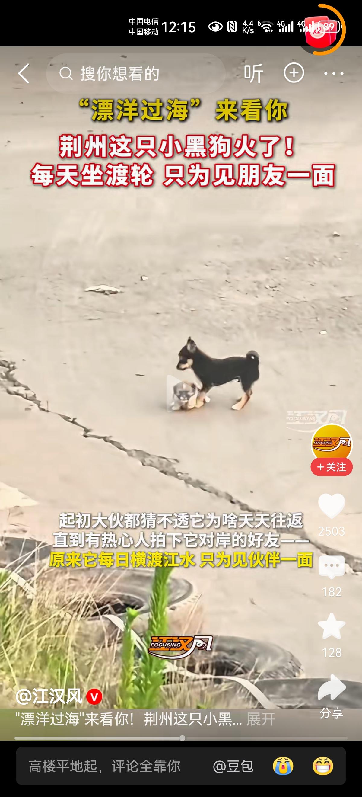 活的连狗都不如！我说这句话，大家听了心里什么感觉？是不是很反感？每天坐轮渡，