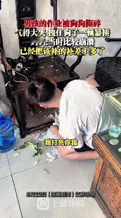 看到这个视频真的太有共鸣了！孩子辛辛苦苦写完的作业，被淘气的狗狗撕得稀烂，辛苦全
