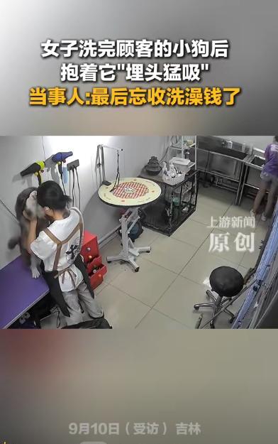 “绷不住了！”吉林一女子洗完顾客的小狗后，觉得它太可爱了，就抱着它“埋头猛吸”，