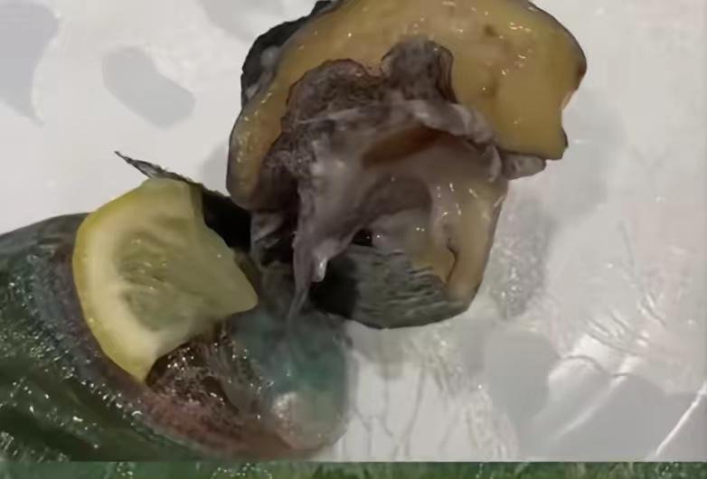 日本那边出了个大新闻！