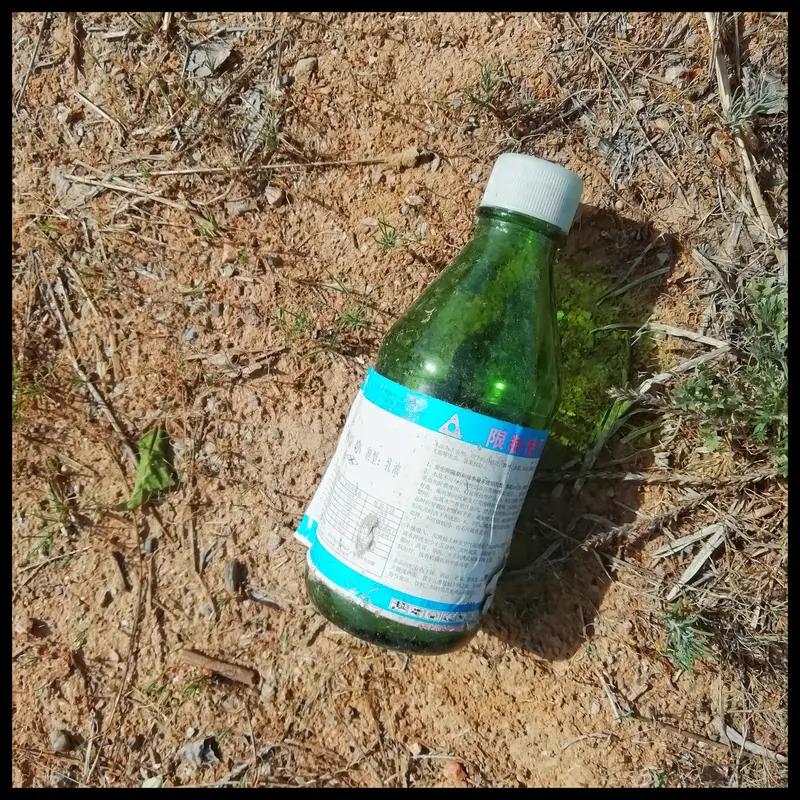 百草枯这个东西，到今天为止依然没有解药。喝下去的人，十个里面能活下来的不到一个。