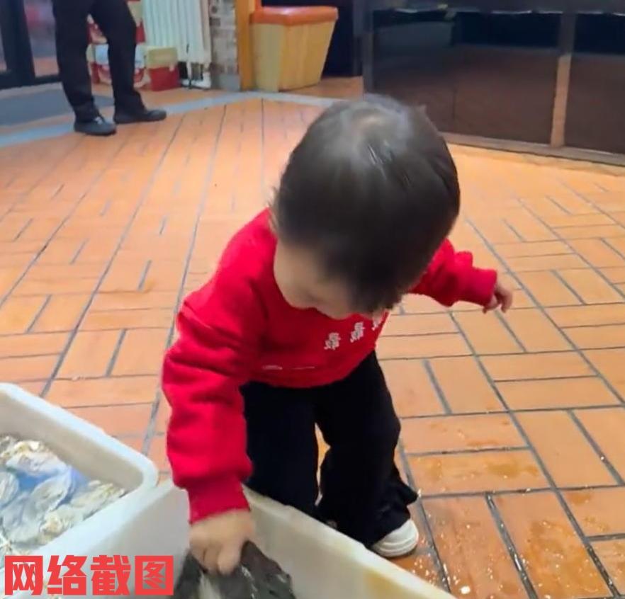 辽宁有宝妈带萌娃来饭店吃饭。宝妈看到饭店地上有几只牛蛙心里还有点怵，被吓了一