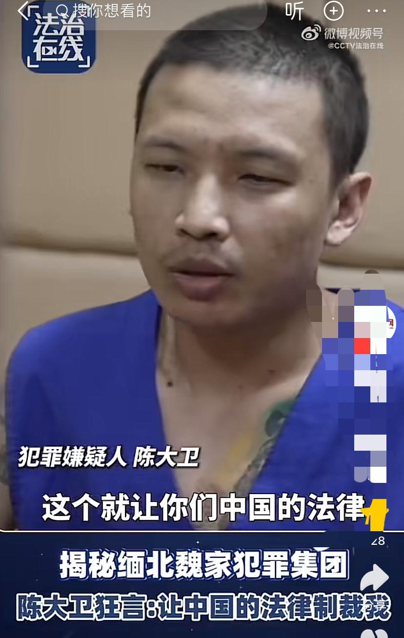 四大家族最狠之人当属魏家陈大卫，他操着一口流利的汉语自豪的向办案人员介绍他的黑历