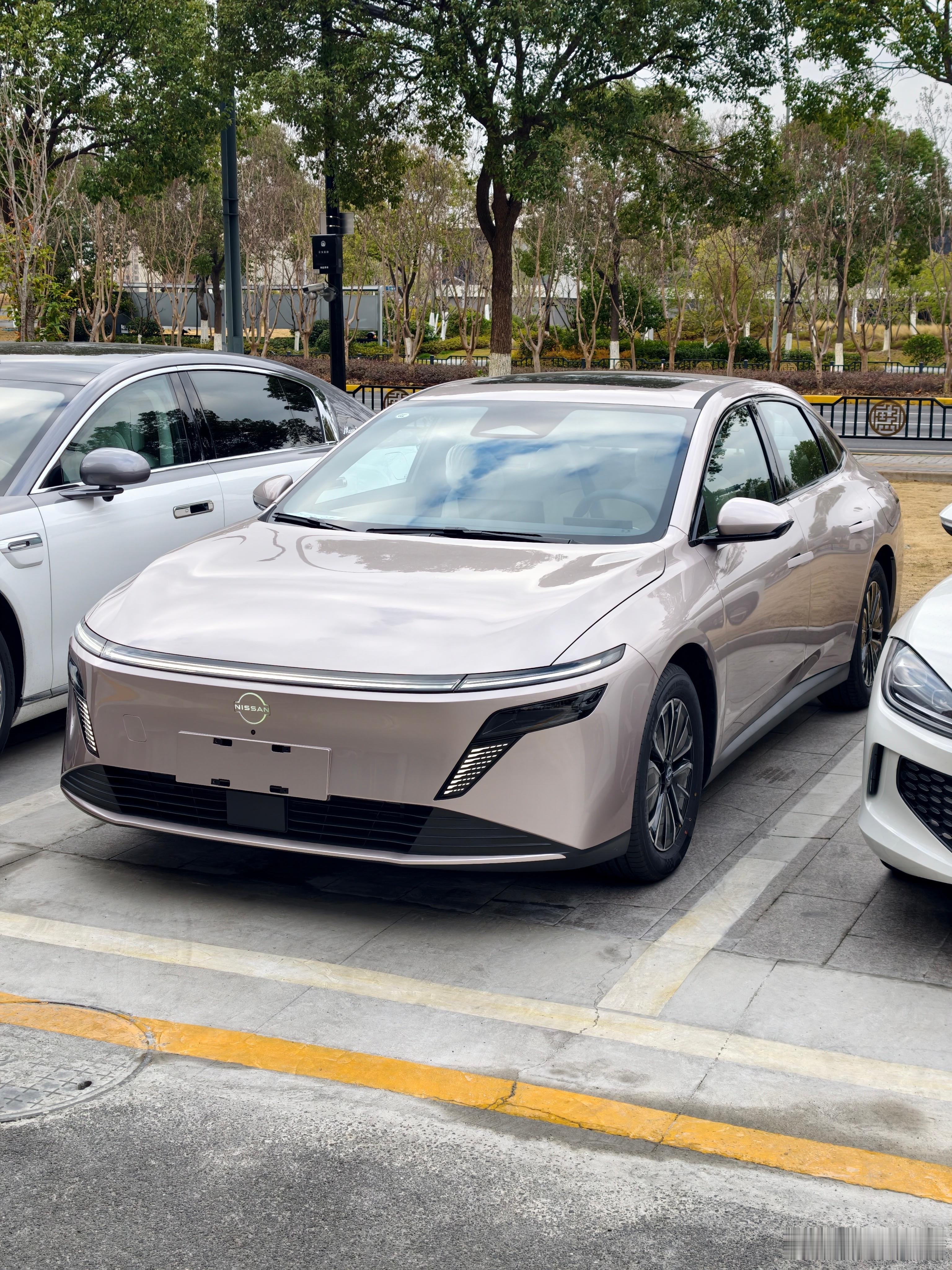 给同事们备好了路上的零食，现在开着东风日产n6开启宁波之行，有吃的有伙伴，路上的