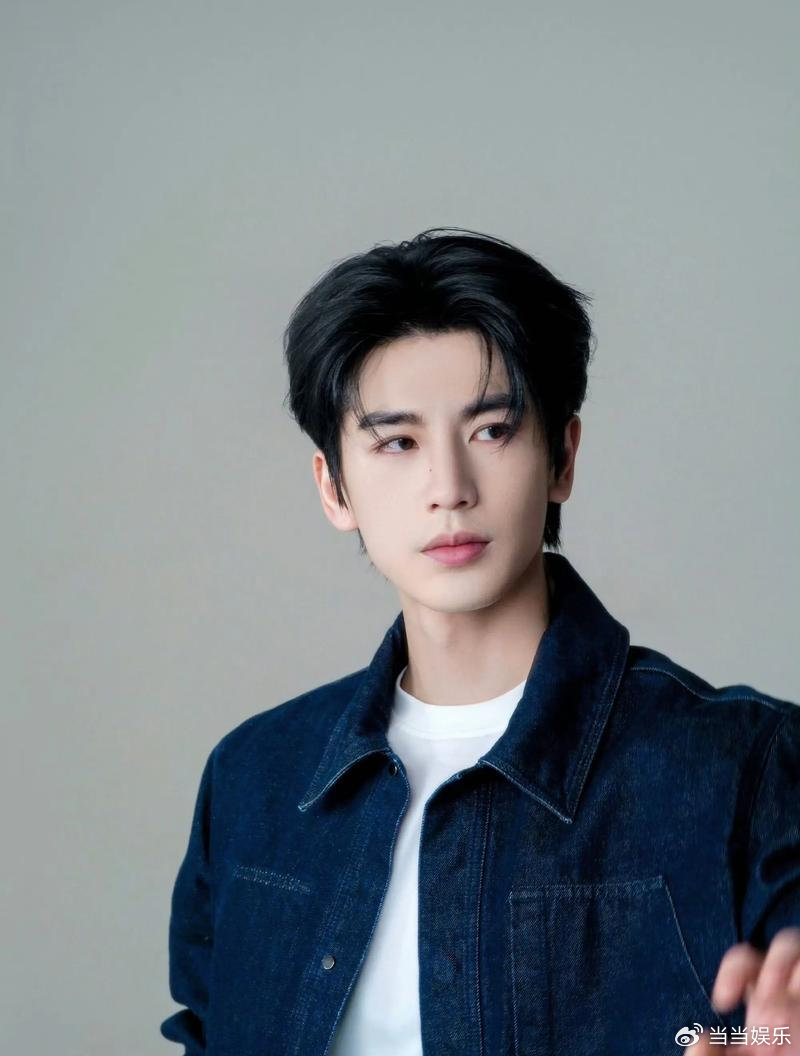 回想起过去那几年，在电视屏幕上常常能够瞅见这个名为张凌赫的年轻男子，在《少女大人