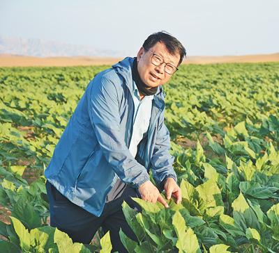 中国治沙封神！重大教授跨界破解世界难题，沙漠变良田亩产789公斤，3万亩沙地焕新