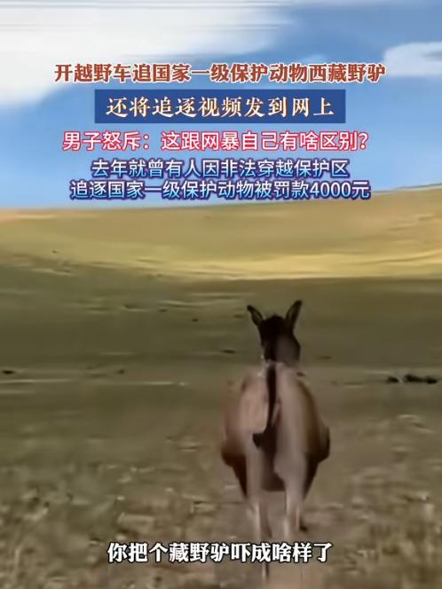 “有些人就不配来西藏旅行！”这句话振聋发聩！但和我们关系不大！近日，一男子开