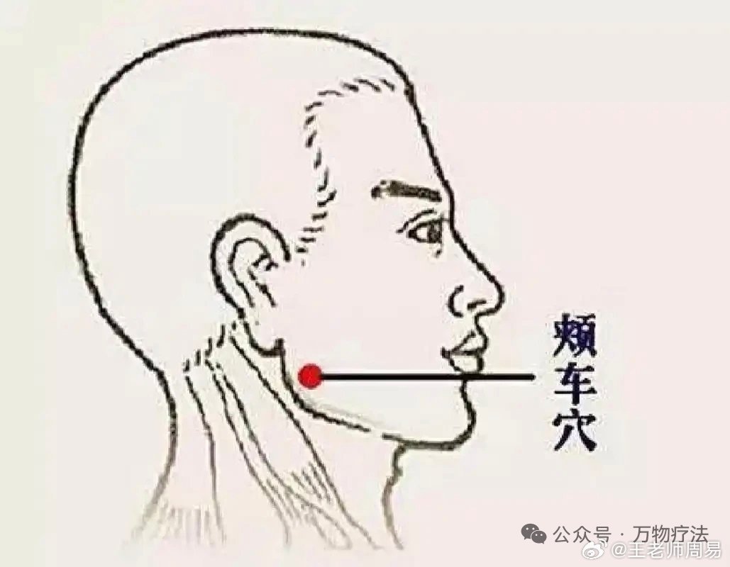 牙齿松动不只是老了，是阳明经气血不够了！打通它，牙龈日渐饱满作者：顾建新有些人年