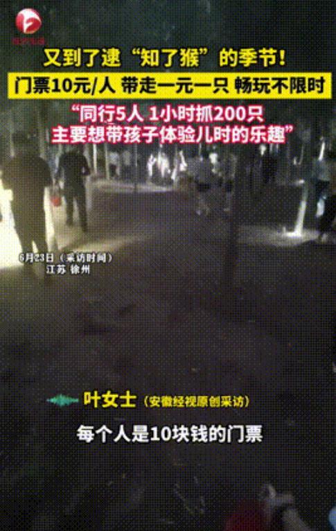 江苏徐州这家知了猴养殖场的老板，靠着一手“让游客花钱抓虫”的神操作火遍全网！