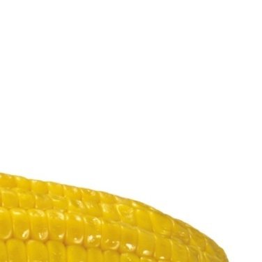 种植文案🌻种植方法玉米🌽的种植方法0000一、选地与整地 1、地块要