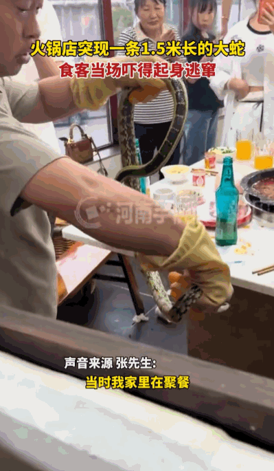 “这也太刺激了。”5月11日，四川省巴中市，一家普普通通的火锅店里，正值饭点，店