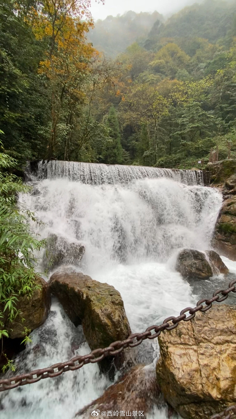 秋色为笔，山水为卷😘在西岭秘境，邂逅一场彩林与瀑布的视觉交响这个秋