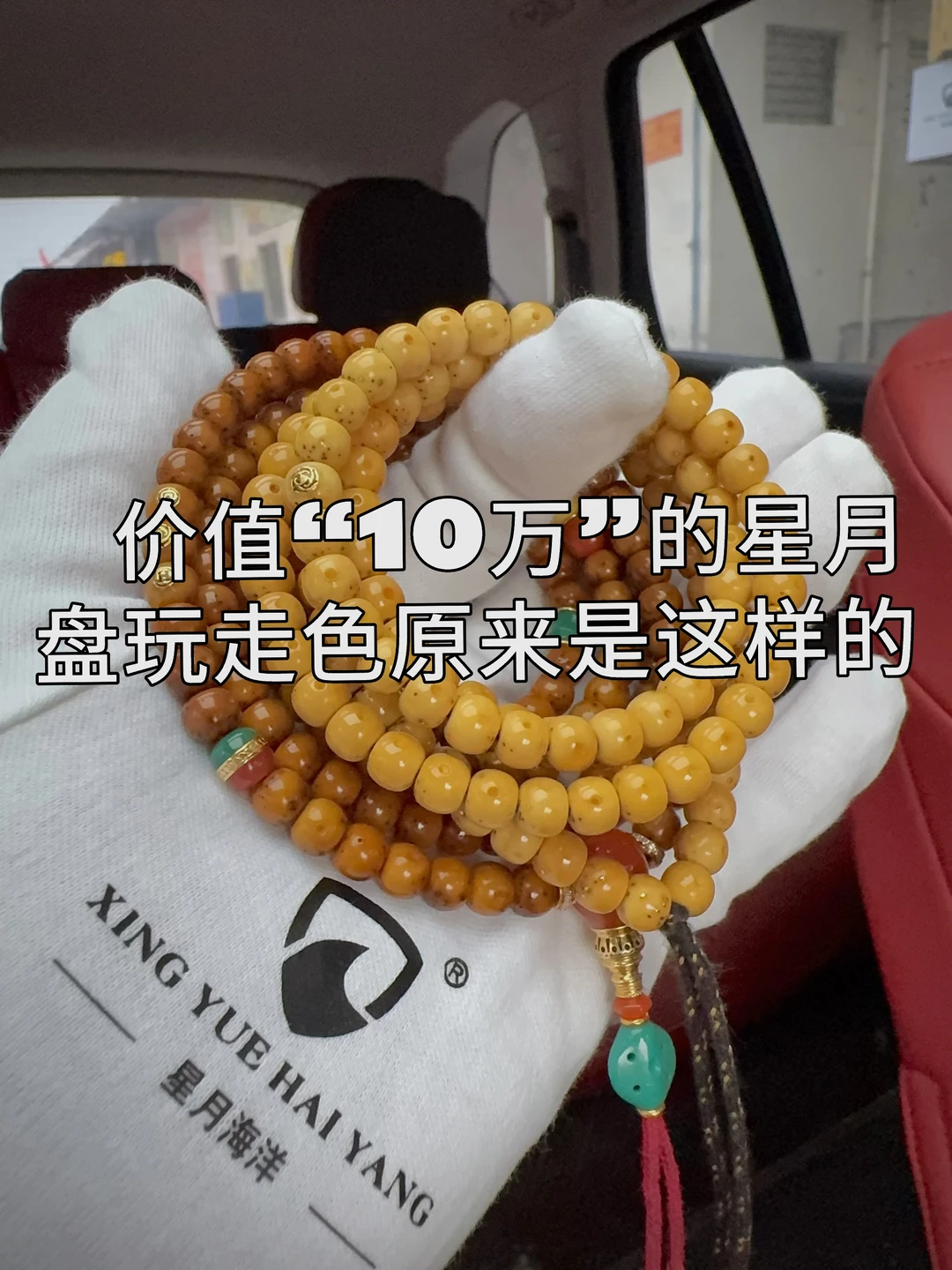 两条价值10万，同枝籽盘玩走色！