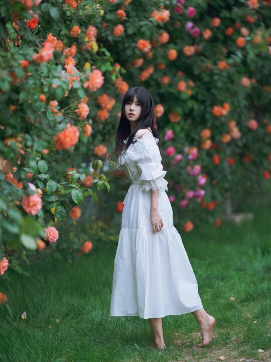 花墙下的蔷薇少女🌸｜拍花系列📷