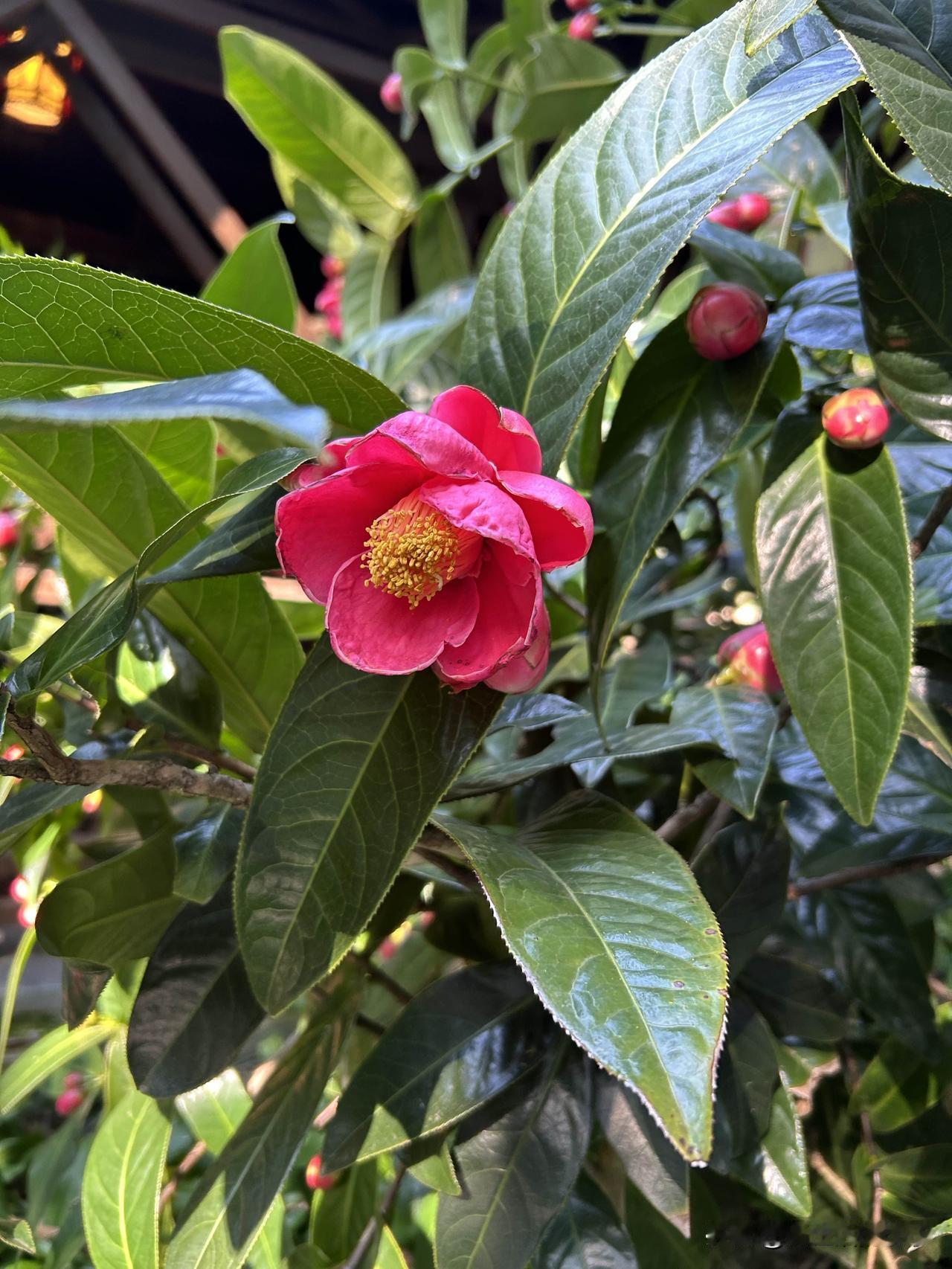 存款存一年好还是三年好?我年龄大了，懒得折腾，所以存三年，虽然利率很低！可