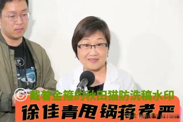 蒋万安人气太高被盯上？黄伟哲、徐佳青等绿高官这套“组合拳”，背后是新潮流系的影