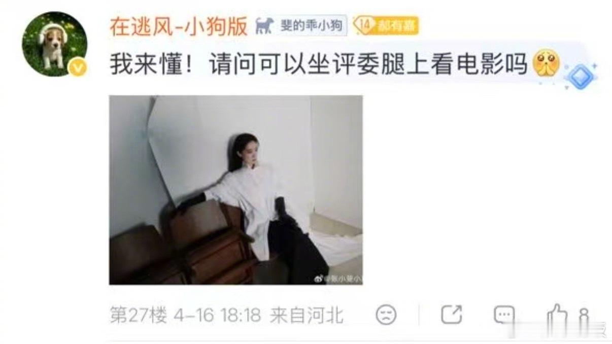 张小斐可以坐评委腿上看电影吗斐妈这组白衬衫大片氛围感拉满！慵懒松弛感拿捏得太