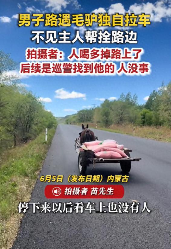 太离谱了！内蒙古兴安盟，一名男子发现203国道上，一辆驴车在路上自行前行，没有看