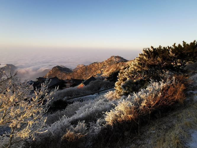 清晨爬上山顶，远眺天际，云海翻涌如万顷银涛，被初阳点燃，金红交织，像神祇打翻的熔