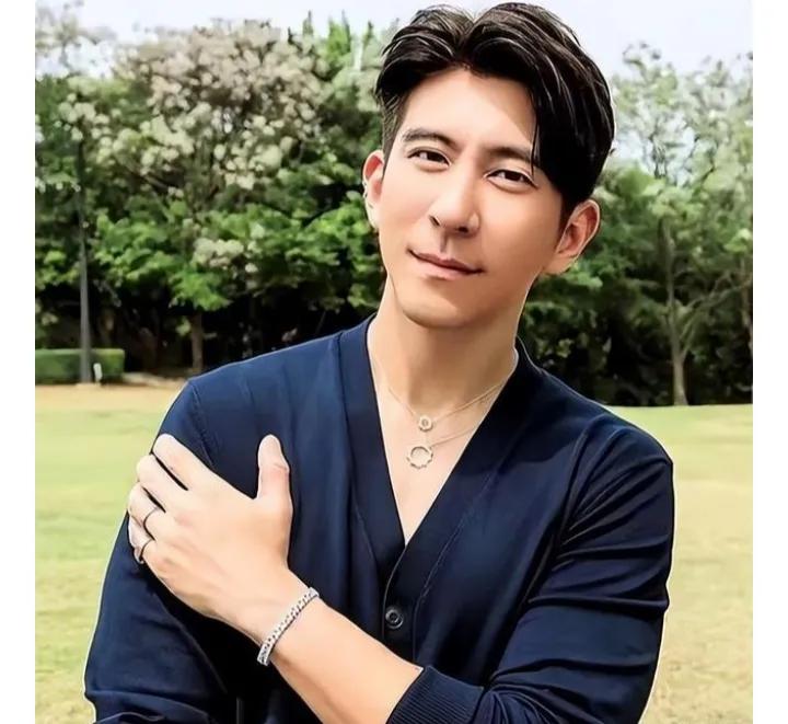 修杰楷逃兵役，多少让人觉得贾静雯也不无辜，两个人在一起十几年，女方那么高的人气，