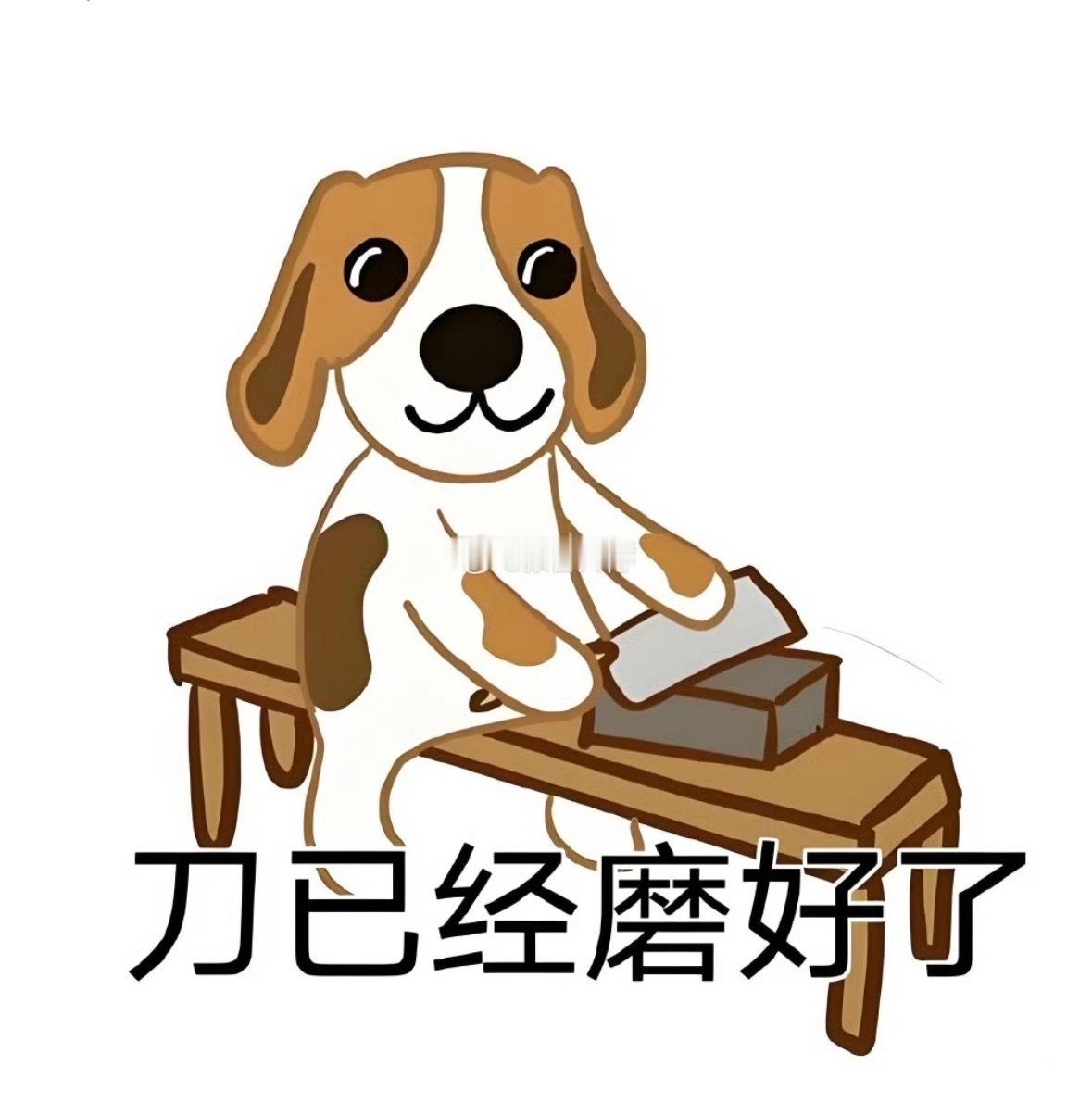 神奇两点半！冲冲冲！​​​