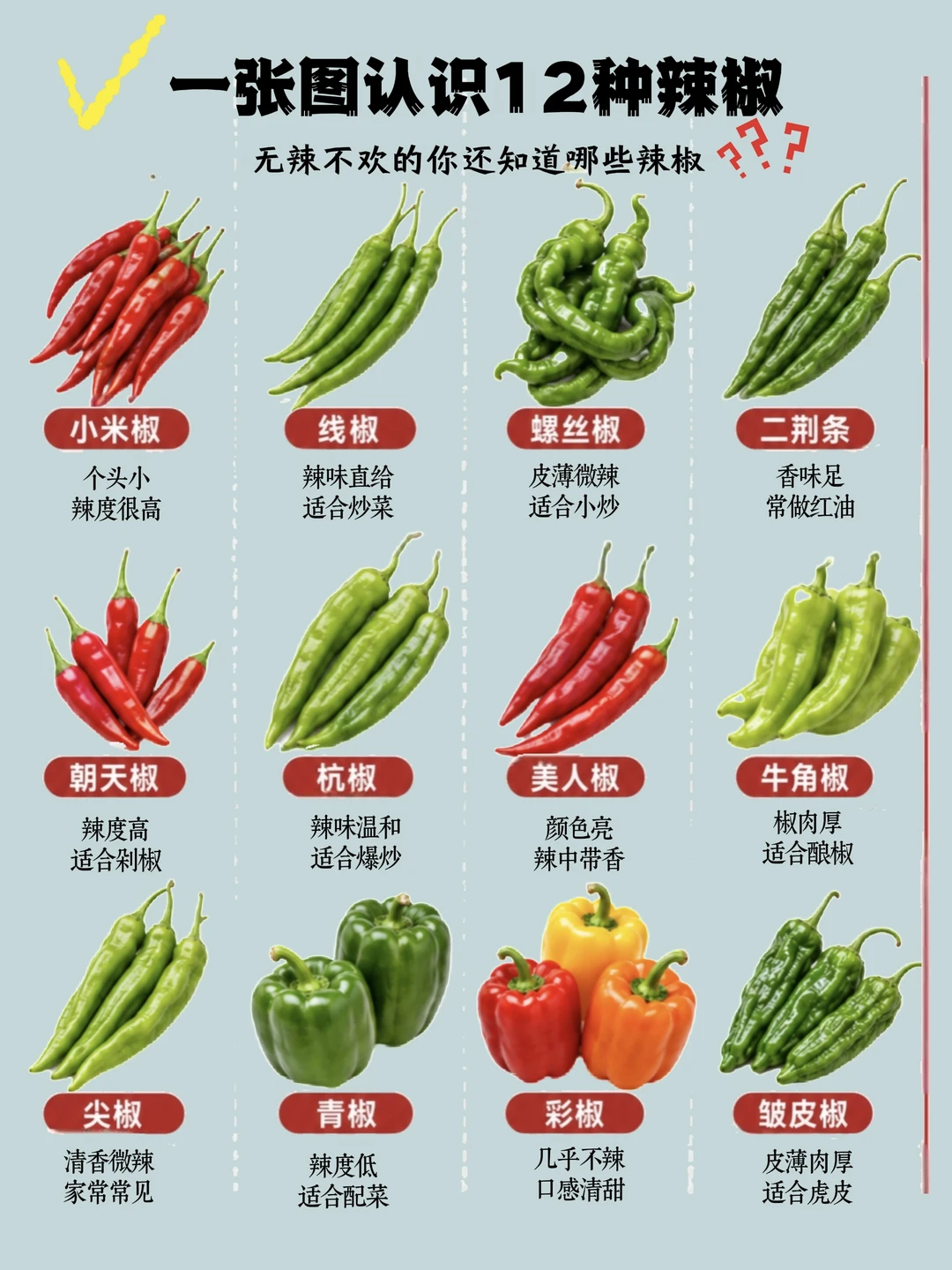 一图看懂12种辣椒的区别