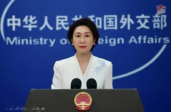 要求胡塞武装放行中国船只？外交部直接回应：应当共同守护在7月29日的外交部记