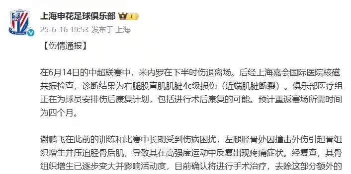 #你认为谁能填补米内罗的空缺#申花前锋一高一快，现在伤了米内罗，为了搭档路易斯应