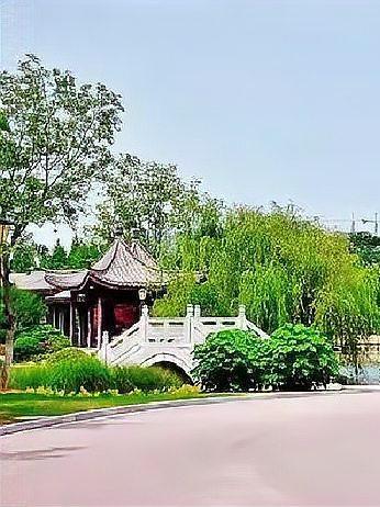 群体狂热中那个“不敬礼”的人，到底有多了不起！你能想象吗？在1936年的德