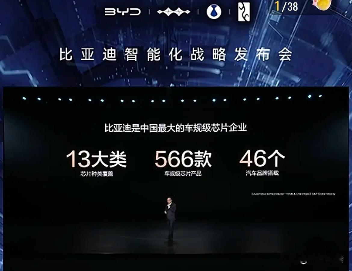 比亚迪：每次有对手抱怨我两句，大家都希望我们怼回去，关键问题我们哪有什么对手啊？