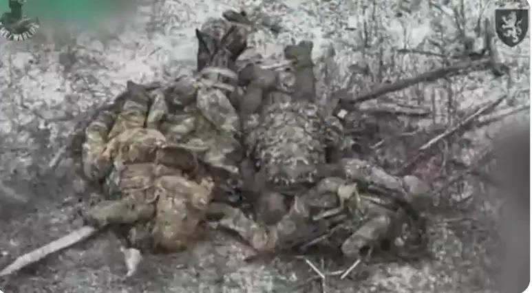 这是乌东战场上离谱的一幕，调侃成了现实了。14日，负责防御