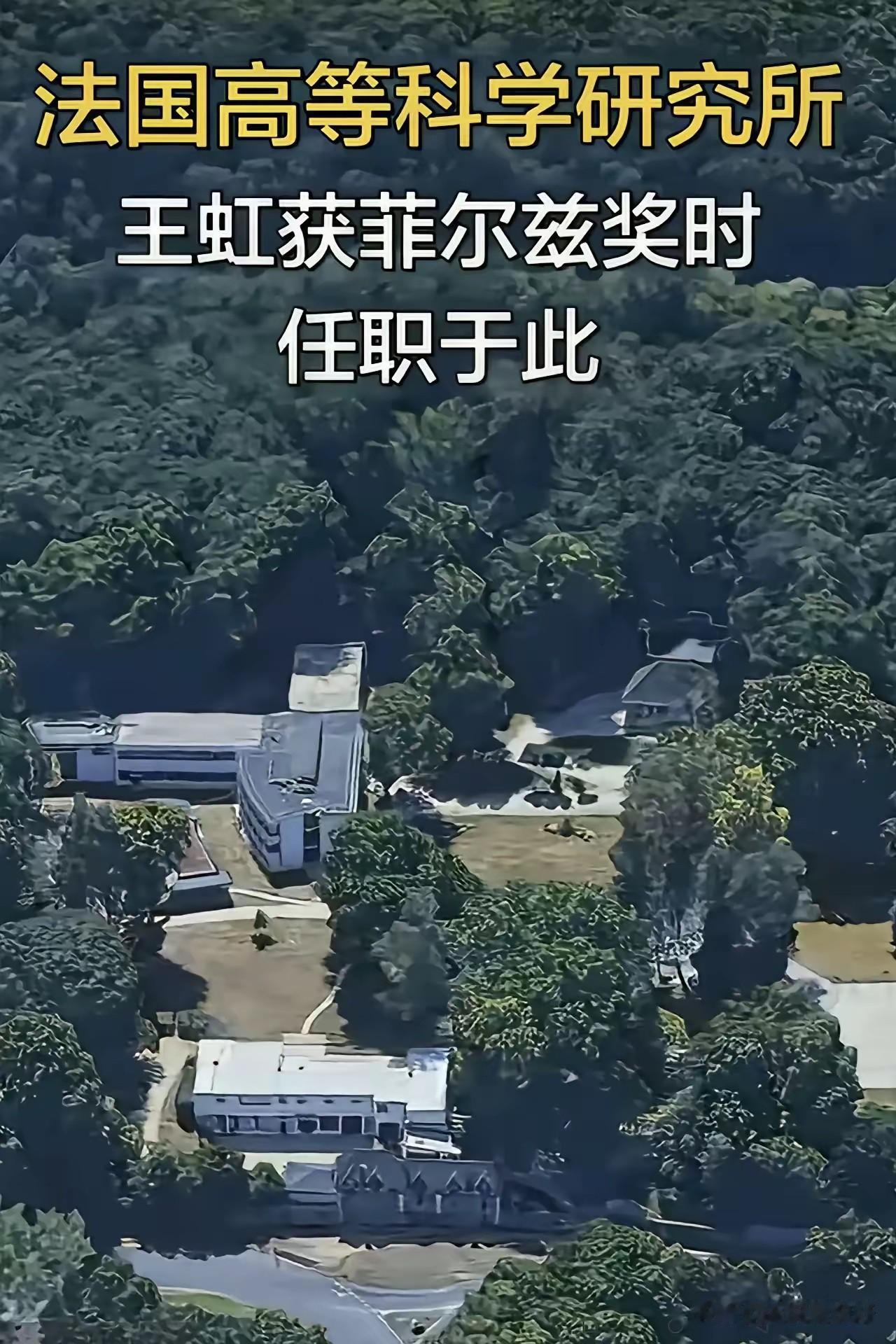 王虹在国内绝不会给这么好的待遇，也不会有这么好的环境，所以，也绝不会取得那么大的