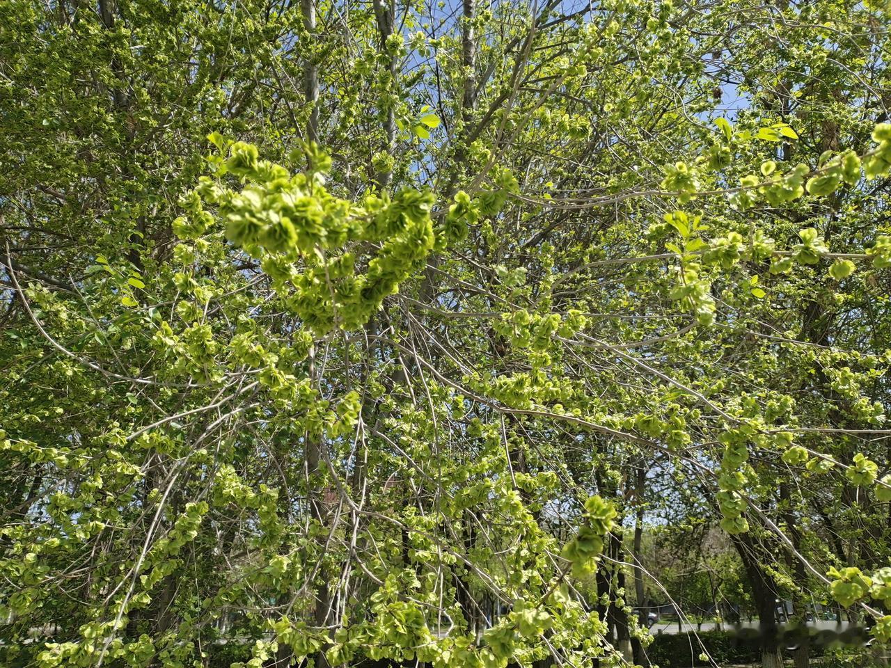 今天的健康，才是明天的幸福。[玫瑰]照顾好自己，才是最好的生活。[比心]愿