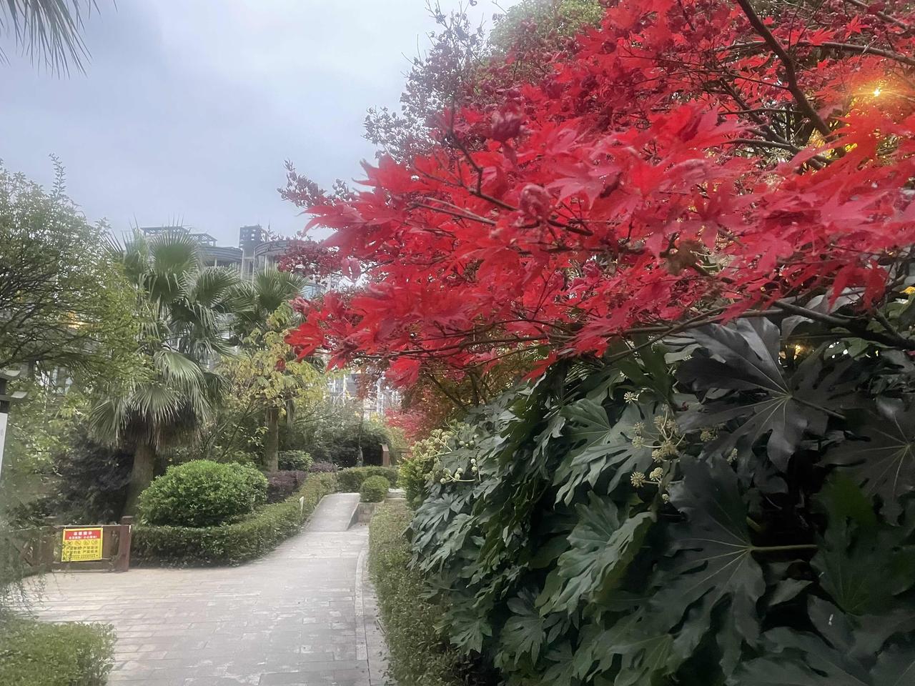 按照最新的研究，是有平行宇宙的。你每产生一个念头，就会产生一个平行宇宙里不同的你