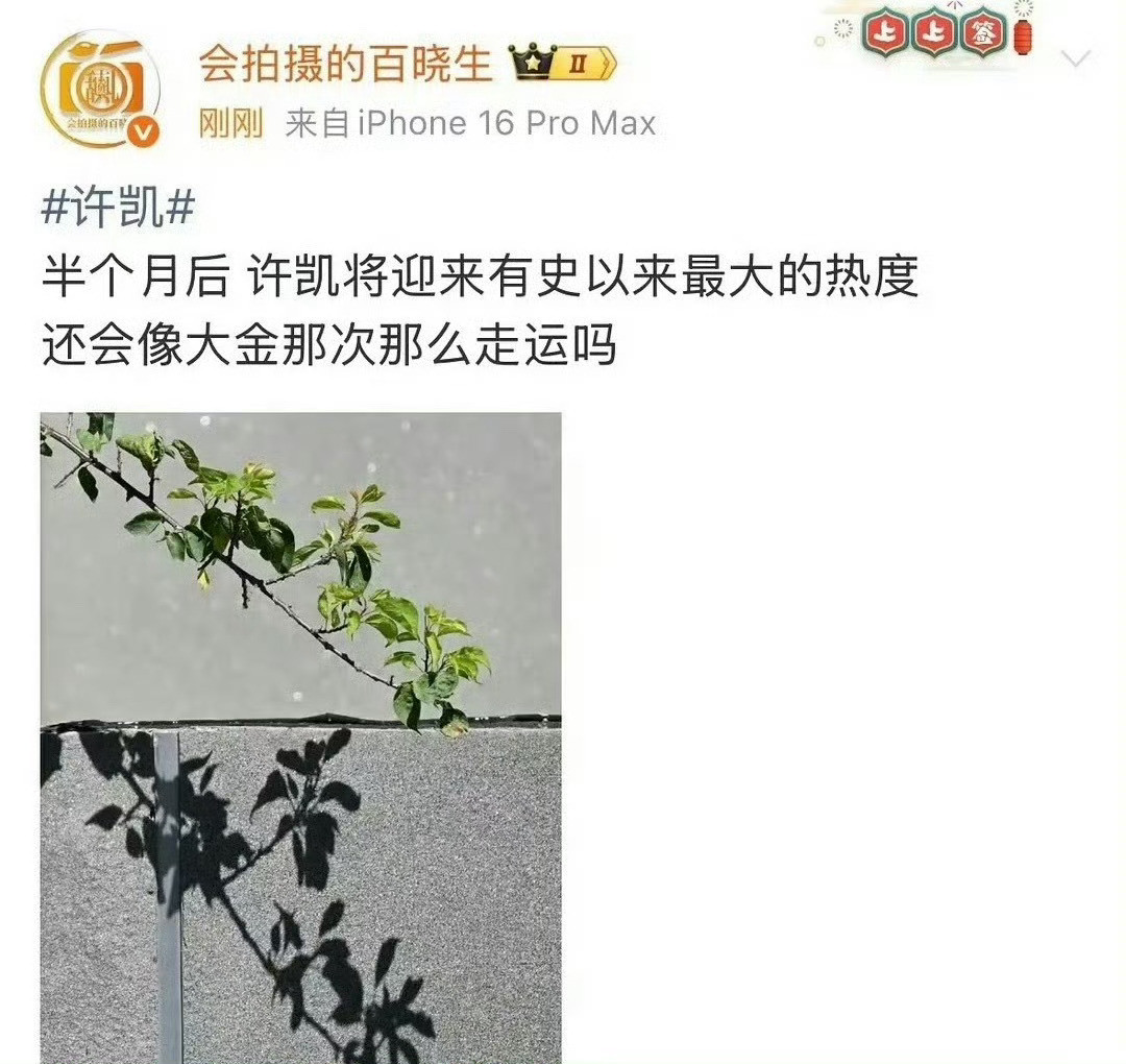 怎么狗仔也要等阅兵结束才锤许凯吗？​​​