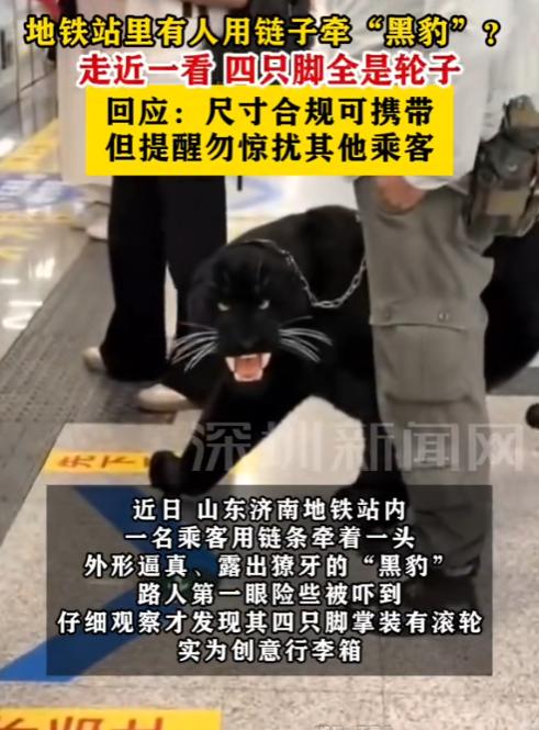 “真是稀奇！”9月30日报道，山东济南，一男子去地铁站，还用链条牵着一头“黑豹”