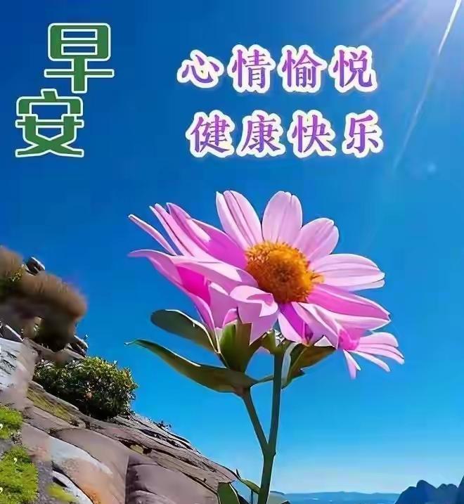 早晨的第一缕阳光，悄悄爬进窗棂，为你驱散昨夜的疲惫；早晨的第一声鸟鸣，轻叩耳畔，