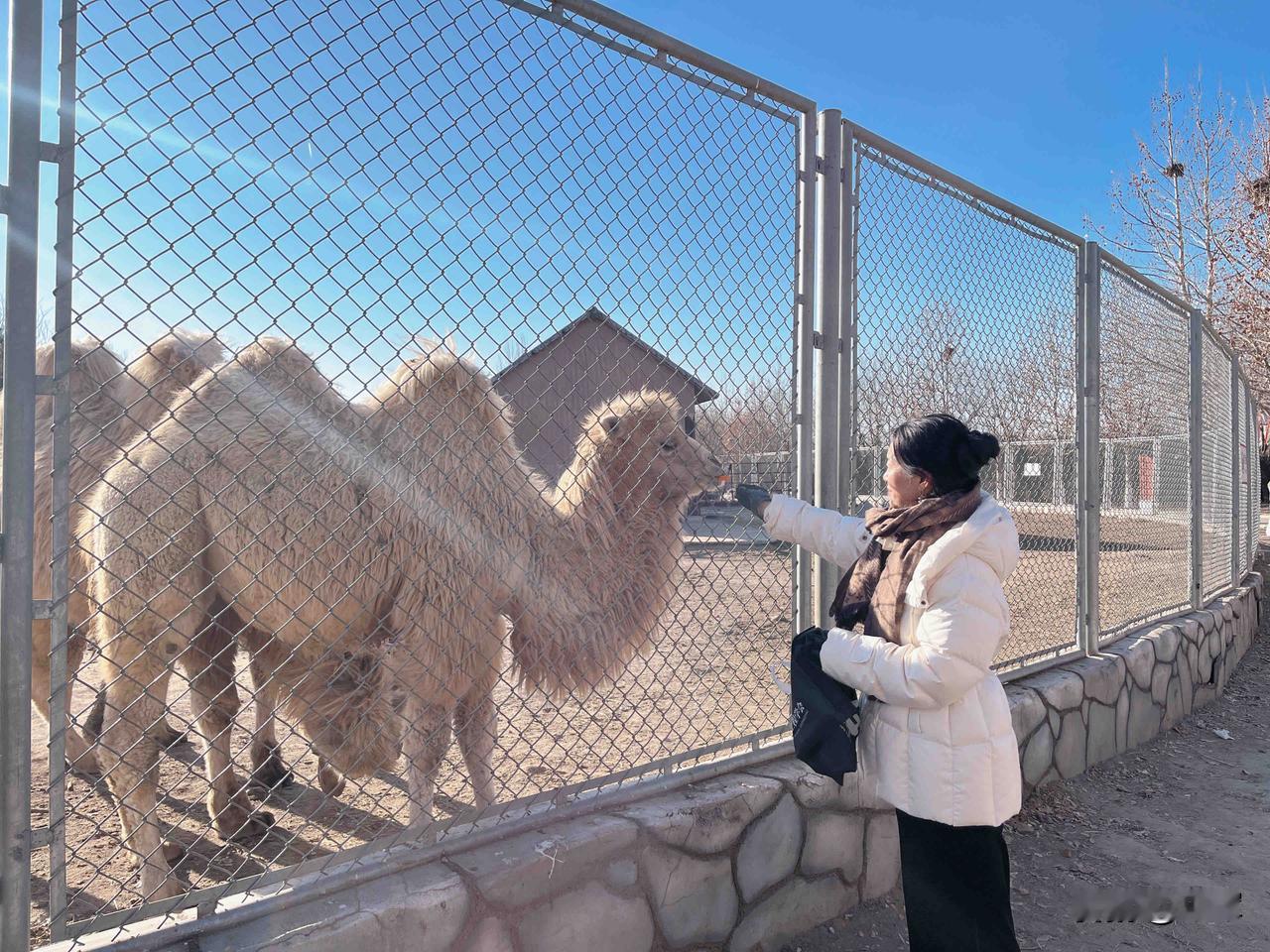 我53岁，今天心情不错一个小朋友也就是四五岁的样子，管我叫阿姨，快奔60的老太太