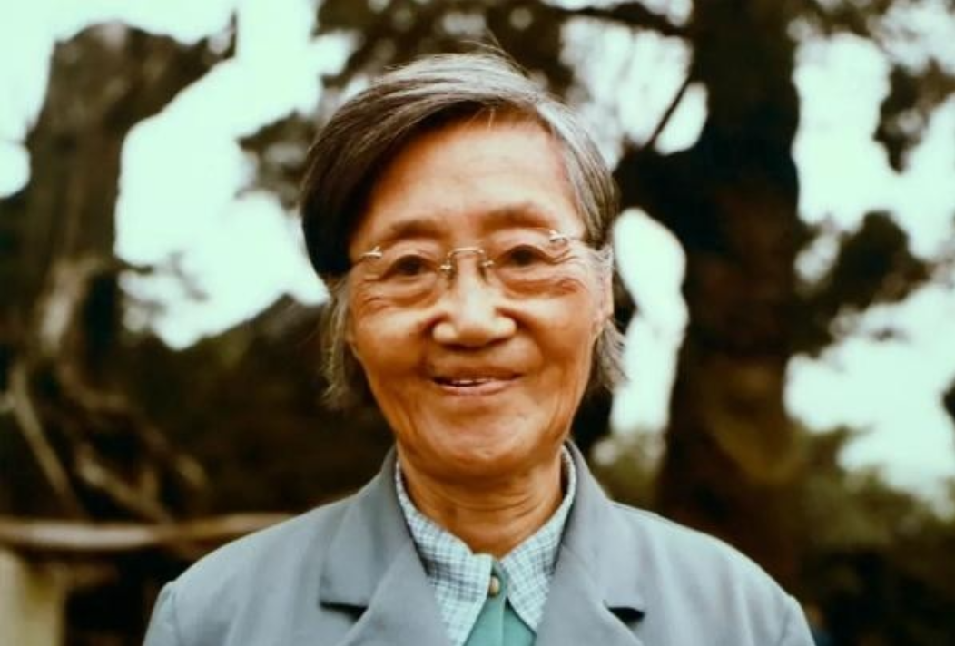 1960年，北大才女王承书狠心抛弃丈夫和孩子，从此音信全无。17年，当看到满头白