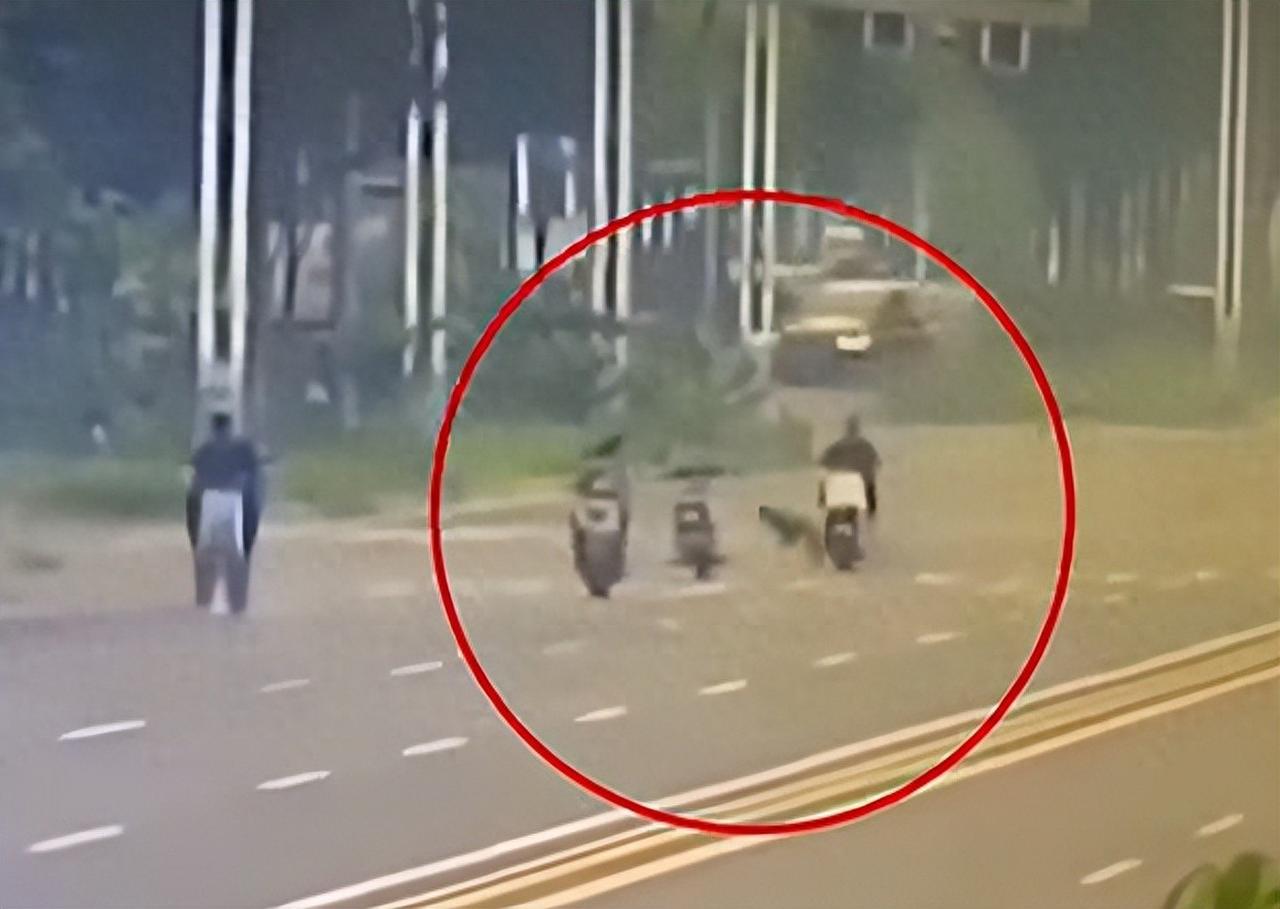 邯郸女子被未拴绳狗撞倒身亡侦查近一年！周兆成：程序不能拖延正义 大家好，我是
