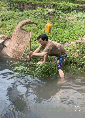 尽管没有鱼也值得称赞，因为你真诚！[赞][大笑]