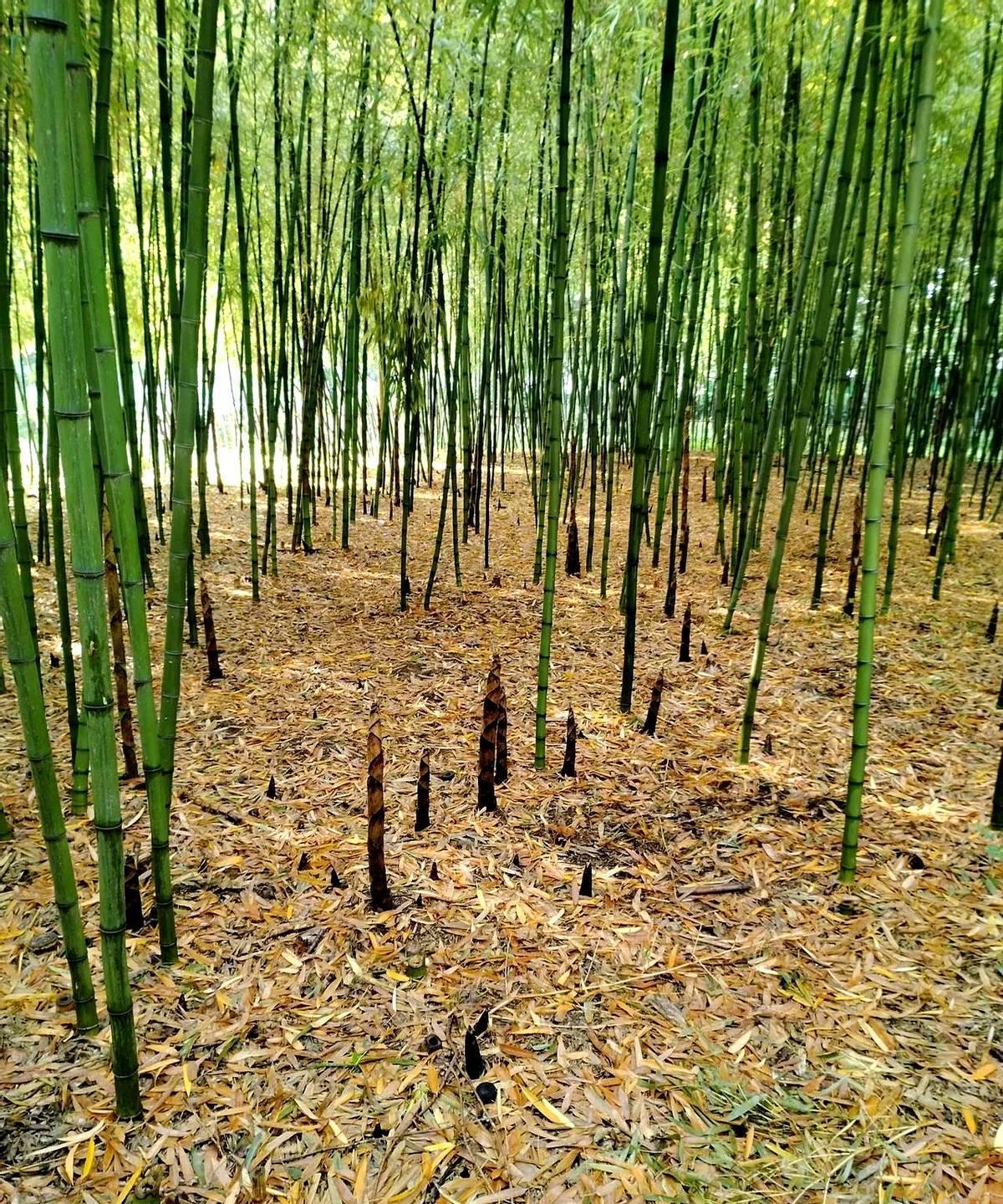 发现了吗？现在很多男人，明知道对方女的已经结婚了，也有孩子了，但是仍然喜